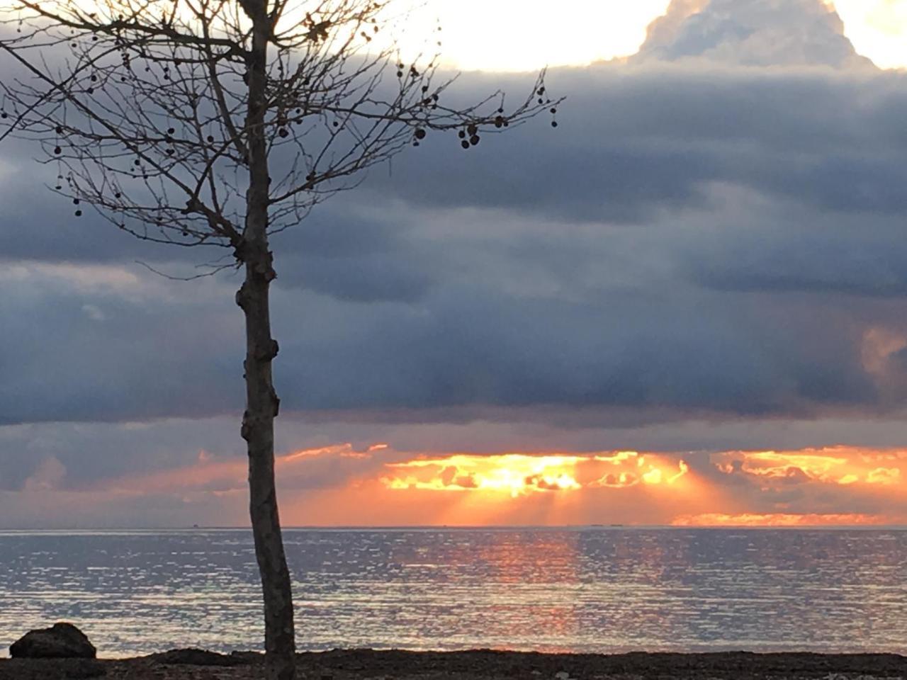 Il Mare Di Alida Appartement Alghero Buitenkant foto